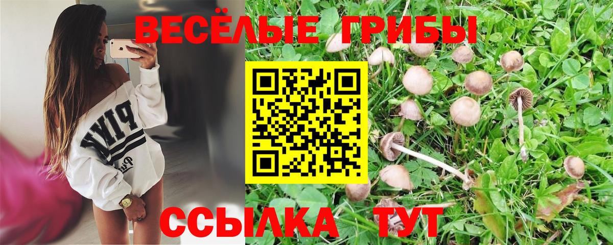 Новошахтинск  Галлюциногенные грибы GOLDEN TEACHER  даркнет сайт  Вход с VPN 